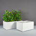 Torino Wide Rectangle Fiberglass Planter on concrete filled with plants shown with different sizes.