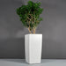 Toulan Tall Tapered Square Fiberglass Planter on concrete filled with plants.