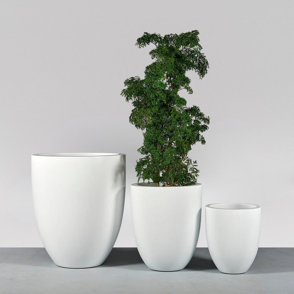 Valencia Tapered Round Fiberglass Planter shown with different sizes filled with plants.