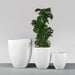 Valencia Tapered Round Fiberglass Planter shown with different sizes filled with plants.