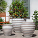 Vari Planter Set of 3 in Antique White on concrete in the backyard.
