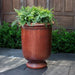 Vaucluse Urn in brunello color on concrete filled with plants.