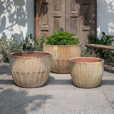 Velia Planter - Vicolo Muro - S/3 filled with plants in the backyard