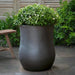 Vigneto Planter in glazed ash color on concrete filled with plants.