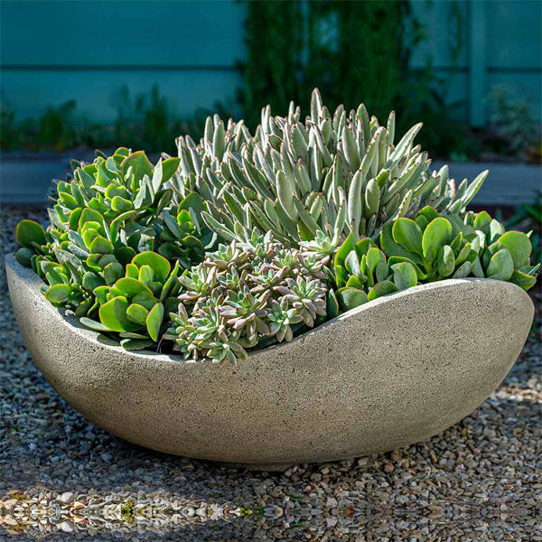 Wave Bowl Planter filled with plants in the backyard