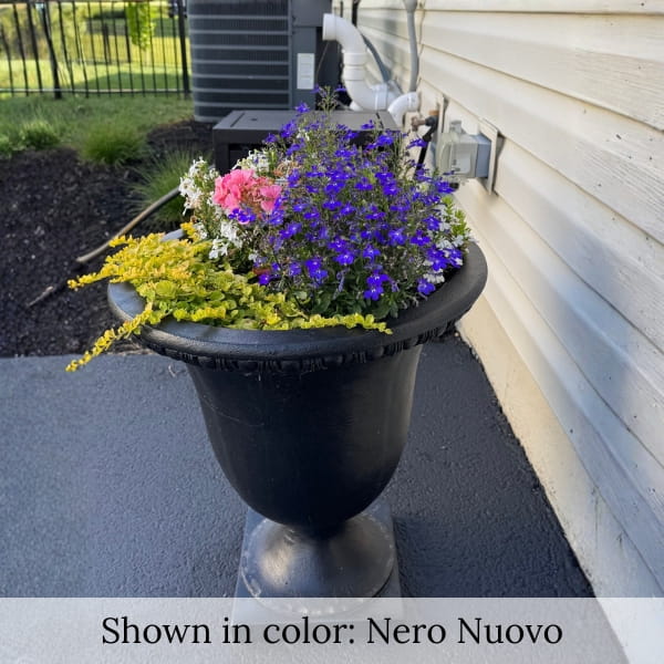 Williamsburg Egg and Dart planter in black finish filled with colorful summer flowers.