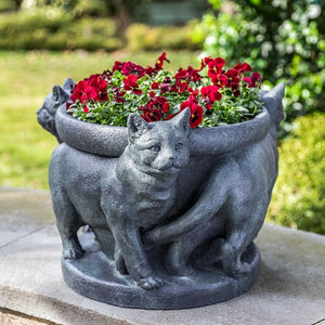 3 Cats Planter filled with red flowers in the backyard