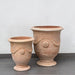 Anduze Urn Terra Cotta S/2 on concrete against light gray wall