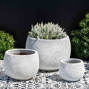 Cantagal Planter White Coral S/3 filled with cactus beside plants