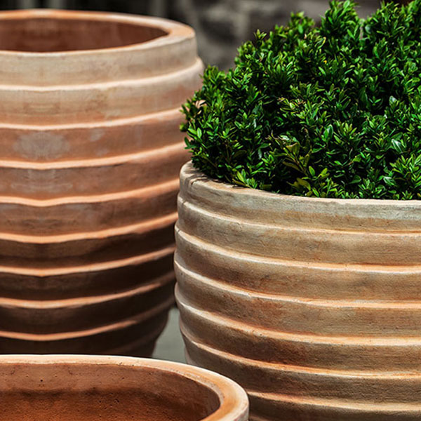 https://theblissfulplace.com/cdn/shop/products/elia-planter-terra-cotta-s-5-filled-with-plants-upclose.jpg?v=1670228619