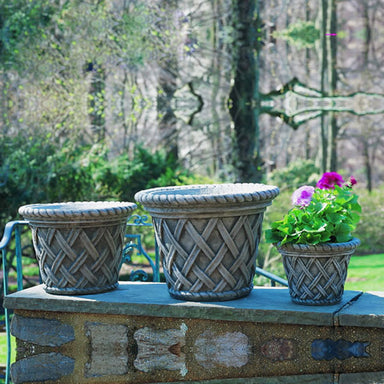 English Weave Large planter on ledge in backyard