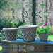 English Weave Small planter on ledge in backyard