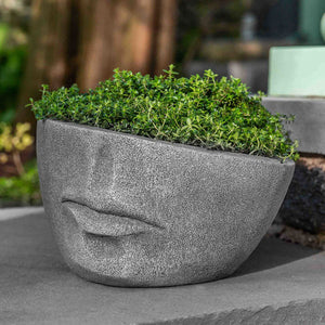 Faccia Planter Extra Small on concrete filled with plants