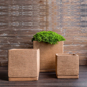 I/O Cube Planter - Clay - S/3 filled with plants against brown wall