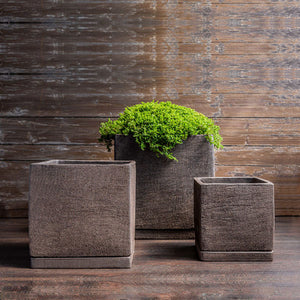 I/O Cube Planter - Peat - S/3 filled with plants against brown wall