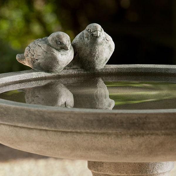 Juliet Birdbath on gravel in the backyard upclose