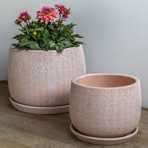 Large Marguerite Round Shell Pink Planter S/8 filled with pink flowers against white wall 