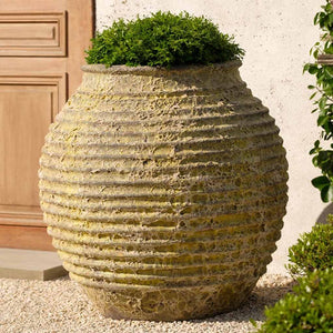 Lascaux Jar Planter - Angkor Yellow - S/1 filled with plants in the backyard