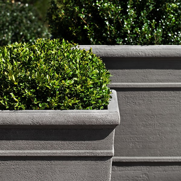 Marin Planter, Large filled with plants in the backyard upclose