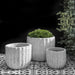 Maris Planter White Coral S/3 filled with plants against black backdrop