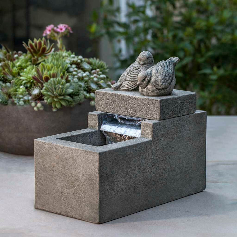 Mini Element with Birds Fountain near cactus in the backyard.