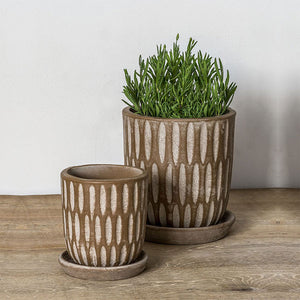Parabola Coffee Planter S/8 filled with plants against white wall