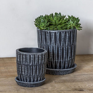 Parabola Etched Black Planter S/8 filled with cactus on table