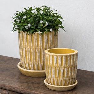 Parabola Etched Yellow Planter S/8 filled with plants against white wall