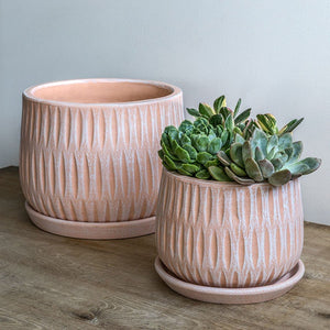 Parabola Large Round Planter - Shell Pink Set of 8 filled with plants on the table