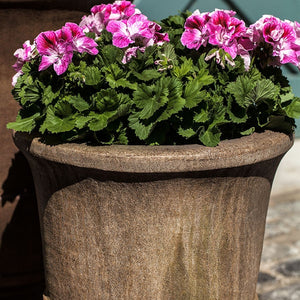 Pascal Urn, Small filled with pink flowers beside large planter upclose