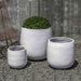 Potrero Planter - White - S/3 filled with plants in the backyard