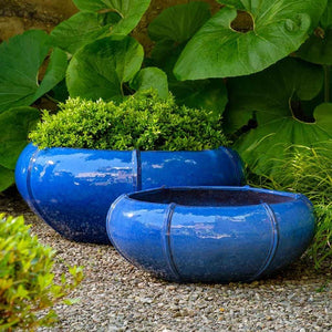 Rib Vault Planter, Low - Riviera Blue - S/2 filled with plants in backyard