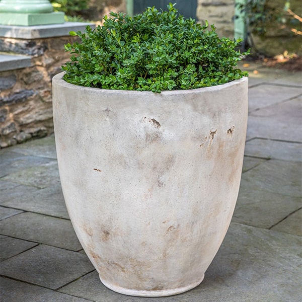 Rovigo Planter - Antico Terra Cotta - S/1 on concrete filled with plants