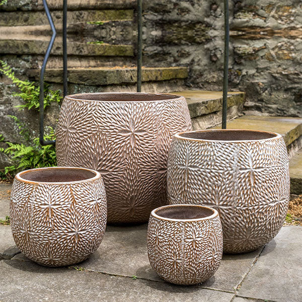 Sand Dollar Planter - Cafe Au Lait - S/4 on concrete near stairs