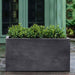 Sandal Planter - 592424 - Charcoal Premium Lite - S/1 on concrete filled with plants