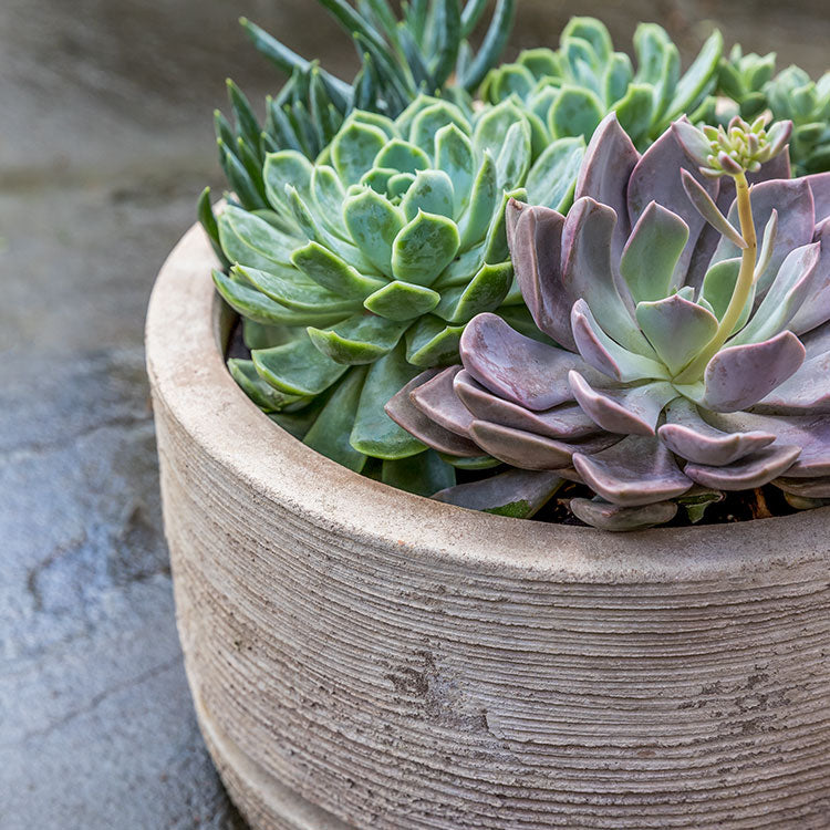 Ipanema Planter, Tall, Antico Terra Cotta