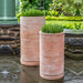 Sgraffito Tall Planter - Terra Cotta - S/2 filled with plants in the backyard