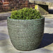 Sisal Weave Planter Set of 3 Seafoam Green filled with plants in the backyard