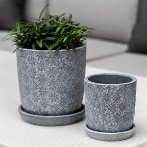 Small Marguerite Round Etched Grey Planter S/8 filled with plants against white wall 