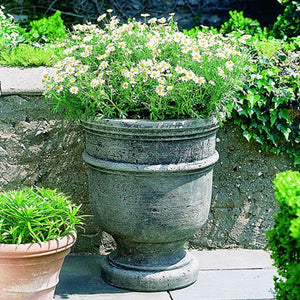 St. Remy Urn filled with flowers against gray cement wall