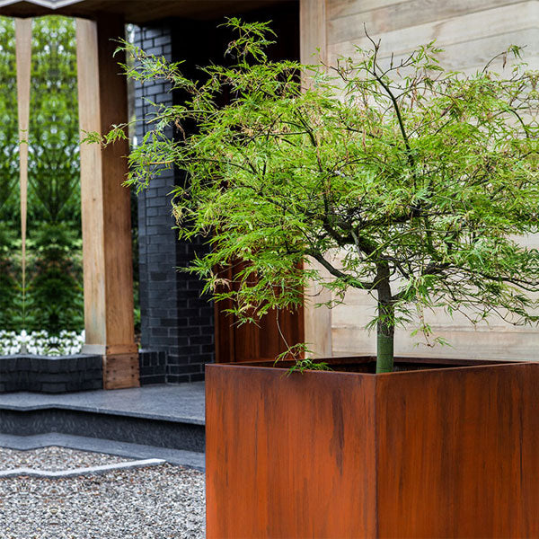 Steel Cube Planter - Steel - S/2 filled with plants near entrance door upclose