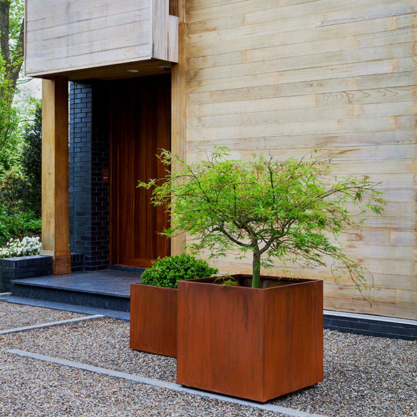 Steel Cube Planter - Steel - S/2 filled with plants near entrance door