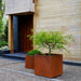 Steel Cube Planter - Steel - S/2 filled with plants near entrance door