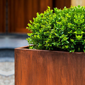 Steel Tall Cube Planter - Steel - S/2 filled with plants near door upclose