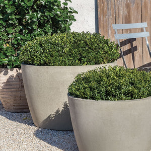 two round large planters filled with green plants