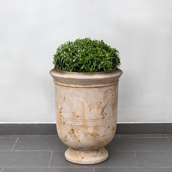 indoor urn planter Campania Vaucluse Urn Planter - 6487-2401