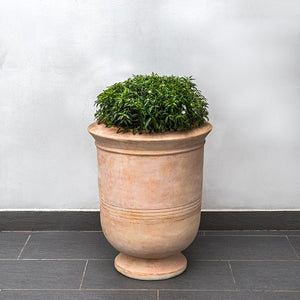 Vaucluse Urn Terra Cotta S/1 filled with plants against light gray wall 