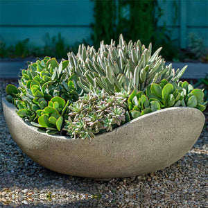 Wave Bowl filled with plants in the backyard